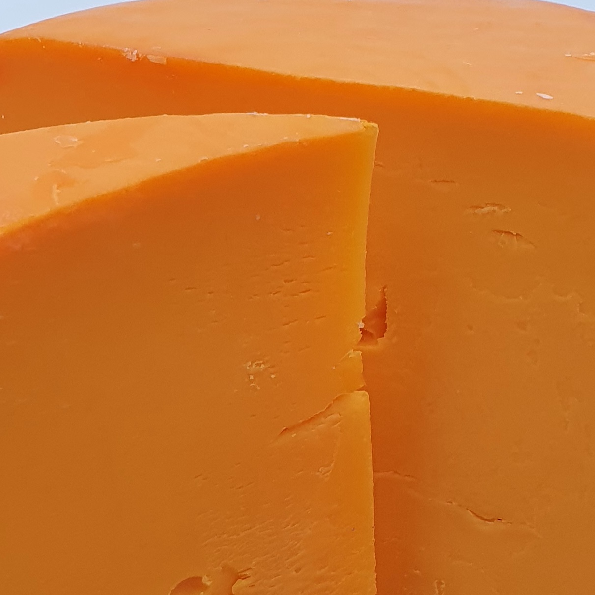 Mimolette jeune – Image 3