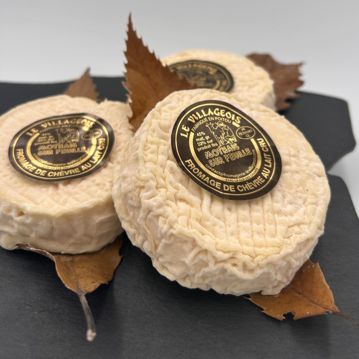 Mothais sur Feuille – Image 3