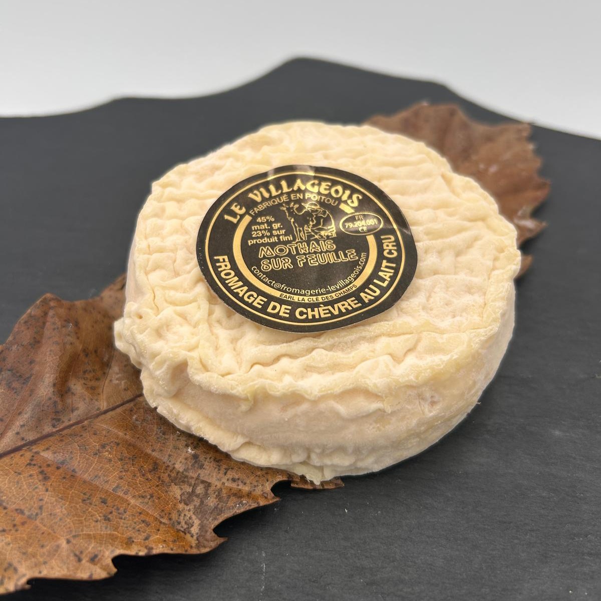 Mothais sur Feuille – Image 5