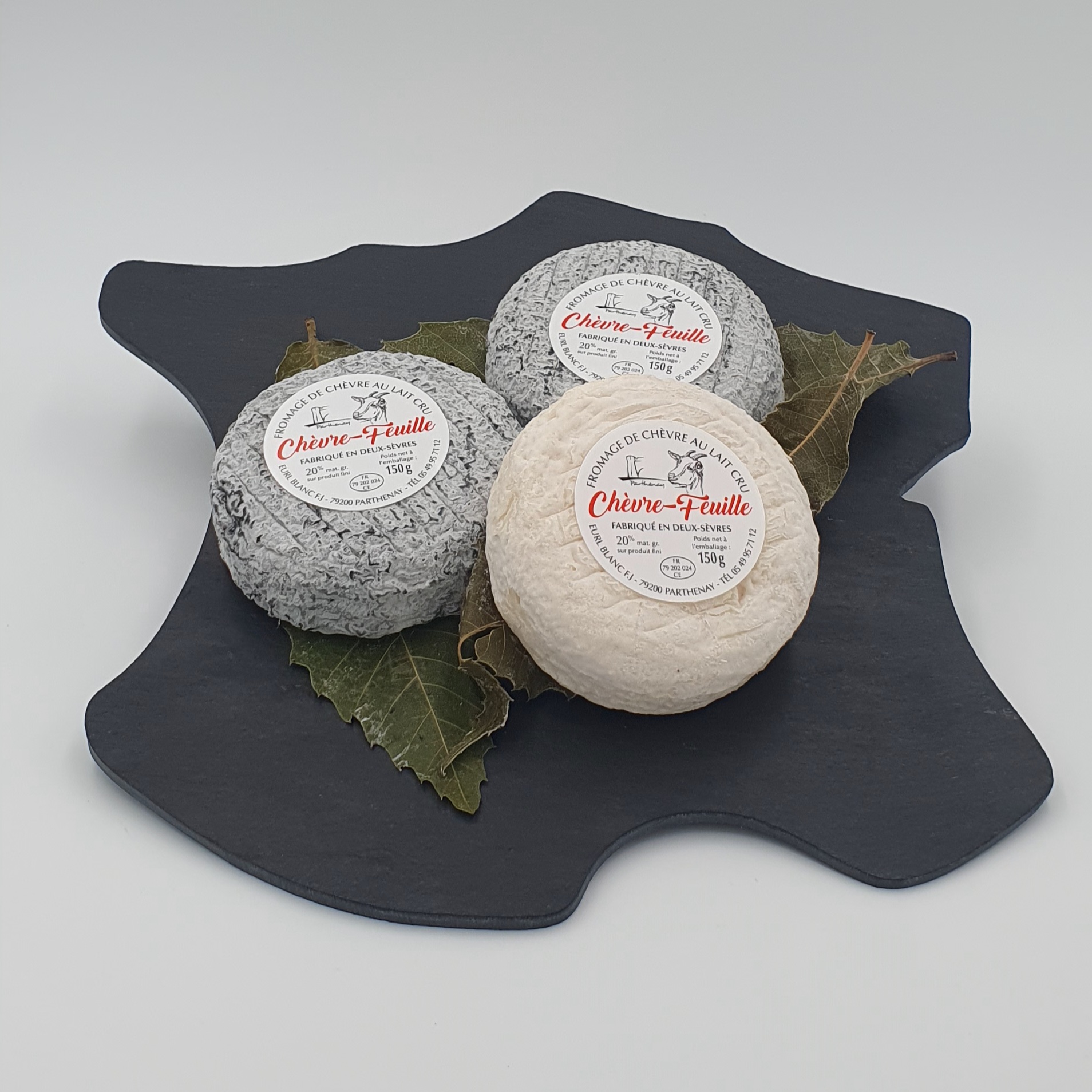 Parthenay sur Feuille – Image 2