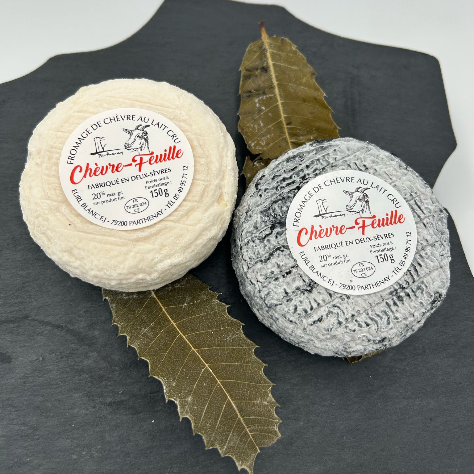 Parthenay sur Feuille – Image 3